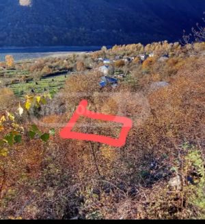 იყიდება 1000 კვმ მიწა - დუშეთის რაიონი