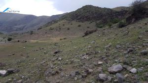 იყიდება 16516 კვმ მიწა - ასპინძის რაიონი