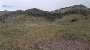 იყიდება 16516 კვმ მიწა - ასპინძის რაიონი